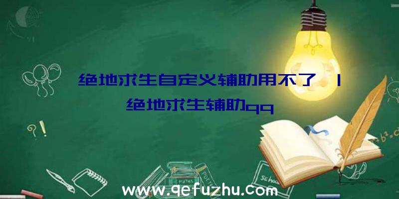 「绝地求生自定义辅助用不了」|绝地求生辅助qq